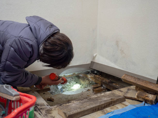 Best Industrial Mold Remediation  in Pantego, TX