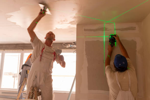 Best Mold Documentation for Insurance Claims  in Pantego, TX